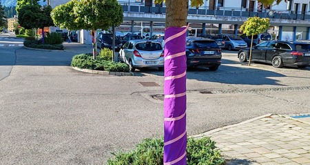 Rožnati oktober (3)